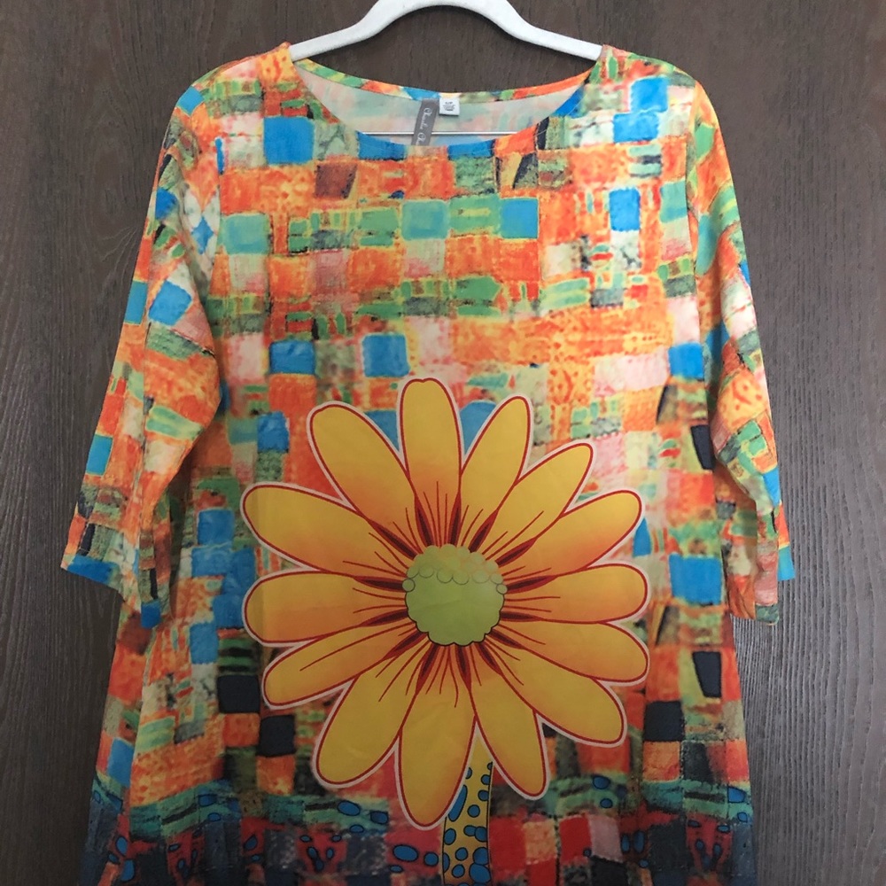 Charlie Charlie Charlotte floral shift dress size S
